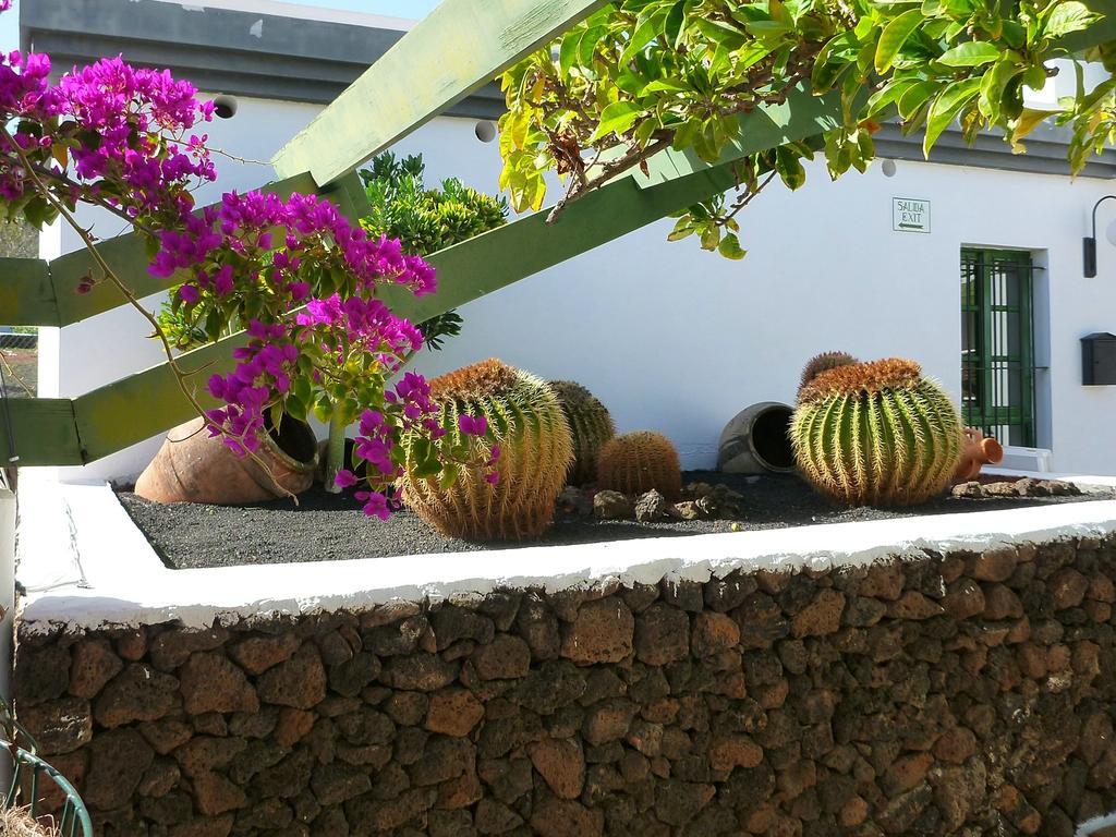 Apartamentos Guacimeta Matagorda  Esterno foto